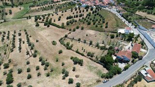 Land for sale in Torres Novas, Portugal — €35,000