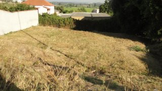 Land for sale in Montemor-o-Velho, Portugal