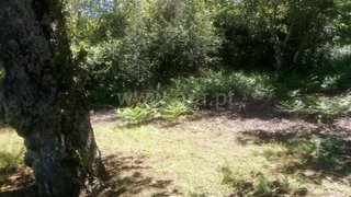 Land for sale in Covilhã, Portugal — €37,000