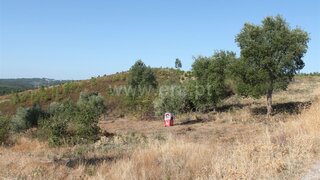 Land for sale in Proença-a-Nova, Portugal — €11,000