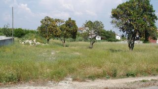 Land for sale in Montemor-o-Velho, Portugal — €140,000