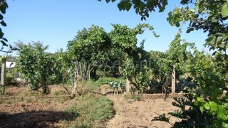 Land for sale in Idanha-a-Nova, Portugal — €21,500