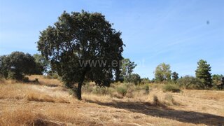 Land for sale in Fundão, Portugal — €120,000