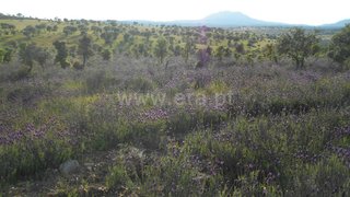 Land for sale in Idanha-a-Nova, Portugal — €60,000