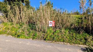 Terreno de 1200 m² em Coimbra