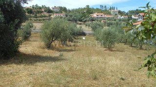 Land for sale in Proença-a-Nova, Portugal — €32,500