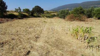 Land for sale in Torres Novas, Portugal — €10,000
