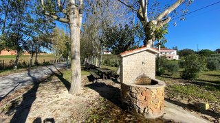 Land for sale in Rio Maior, Portugal — €16,400