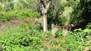 Land for sale in Abrantes, Portugal — €27,500
