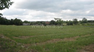 Land for sale in Cantanhede, Portugal