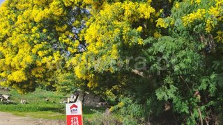 Land for sale in Belmonte, Portugal — €25,000