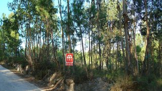 Land for sale in Montemor-o-Velho, Portugal