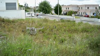 Land for sale in Montemor-o-Velho, Portugal