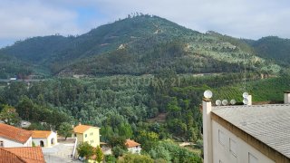 Land for sale in Penacova, Portugal — €27,000