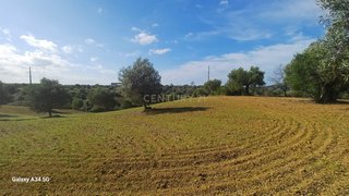 Land for sale in Torres Novas, Portugal — €28,000