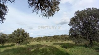 Land for sale in Castelo Branco, Portugal — €12,500