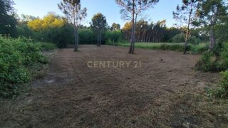 Terreno para venda em Alcobaça, Portugal — 25 000 €