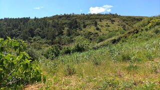 Terreno em Vila Franca de Xira