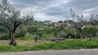 Land for sale in Abrantes, Portugal — €35,000