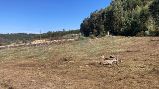 Land for sale in Penafiel, Portugal — €125,000