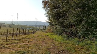 Land for sale in Valongo, Portugal — €52,000