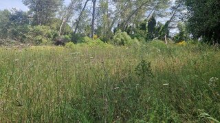Terreno de 6250 m² em Setúbal