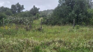 Land for sale in Portimão, Portugal — €195,000