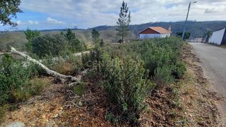 Land for sale in Proença-a-Nova, Portugal — €6,500