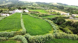 Land for sale in Ponta Delgada, Portugal — €140,000