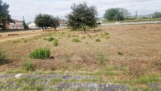 Land for sale in Pombal, Portugal — €40,000