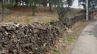 Land for sale in Proença-a-Nova, Portugal — €85,000