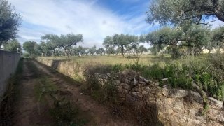 Land for sale in Castelo Branco, Portugal — €27,500