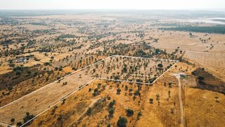 Land for sale in Nisa, Portugal — €90,000