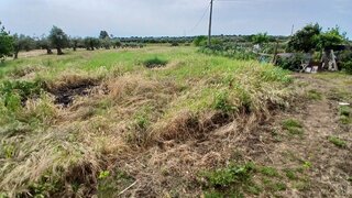 Terreno em Reguengos de Monsaraz