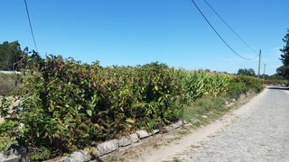 Land for sale in Esposende, Portugal — €149,000