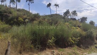 Terreno em Baião