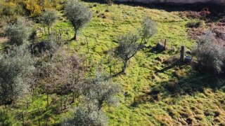 Terreno de 774 m² em Viseu