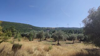 Land for sale in Penamacor, Portugal — €8,000