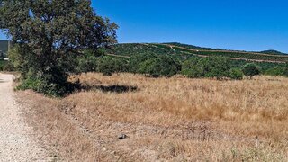 Land for sale in Albufeira, Portugal — €49,900