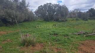 Land for sale in Silves, Portugal — €66,000