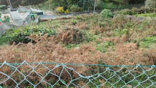 Terreno de 750 m² em Viana do Castelo