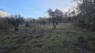 Land for sale in Ansião, Portugal — €28,000