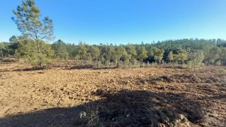 Land for sale in Vila Velha de Ródão, Portugal — €19,500