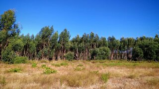 Land for sale in Palmela, Portugal — €150,000
