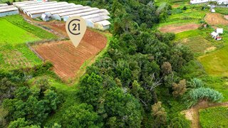 Land for sale in Santana, Portugal — €85,000