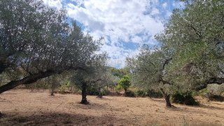 Land for sale in Fundão, Portugal — €14,000