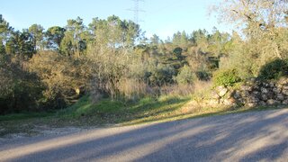 Land for sale in Condeixa-a-Nova, Portugal — €21,900