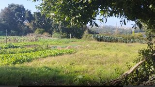 Land for sale in Gondomar, Portugal — €40,000