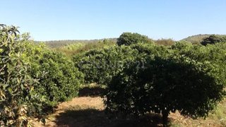 Land for sale in Silves, Portugal — €56,000