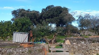 Land for sale in Alcanena, Portugal — €29,900